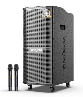  Loa Kéo W-King K20 Pro – Công Suất 360W