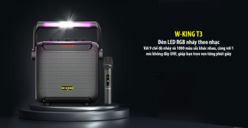 Loa Karaoke xách tay Bluetooth W-King T3